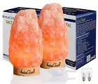 LN-02 Pack of 2 Natural Himalayan Pink Crystal Rock Salt Lamp 4~7 lbs with Di...