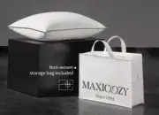 Hungarian Goose Down Pillow Queen Size, Fluffy 3-Chamber Bed Pillow With 75...