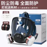 在飛比找樂天市場購物網優惠-防塵口罩 防護面具 防毒面罩 workcare防塵毒W880