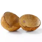Coconut Shell Natural Bowl Ceylon Organic Halves Friendly Eco 100% Handmade Set