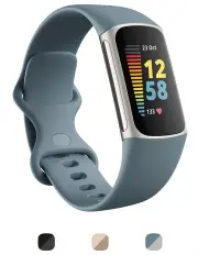 [Fitbit] Charge 5 Steel Blue/Platinum Stainless Steel