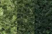 Woodland Scenics 1101 All Scale Realistic Green Deciduous -- Mixed Green (36)