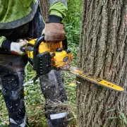 DeWALT 54V 45cm Chainsaw Cordless Kit