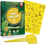 Gideal 30-Pack Dual-Sided Yellow Sticky Traps for Flying Plant Insect Such as Fungus Gnats, Whiteflies, Aphids, Leafminers,Thrips - (6x8 Inches, Included 30pcs Twist Ties)