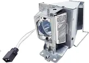SP.79C01GC01/BL-FP195B/BL-FP195A/SP.78H01GC01 Projector Lamp with Housing for Opto-ma GT1080D HD29DARBEE(Lamp with housing)