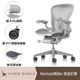 【Herman Miller】Aeron2.0 全功能 尼龍腳 礦石白 B SIZE DW扶手