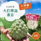 在飛比找遠傳friDay購物優惠-【初品果】產地直送台東巨無霸大目釋迦禮盒5斤5-6顆x4盒