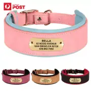 Wide Leather Dog Collar for Grey Hound, Large Soft Padded Pet Dog Collars