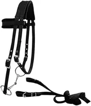 Eigell Equestrian Bridle with Rein and Headstall for Riding with Soft Cushion and Rope