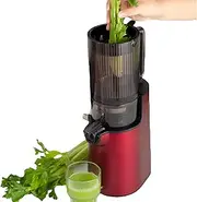 250W Cold Press Juicer, Slow Masticating Juicer Machines 12Cm Feed Port/98% Improved Pure Juice Rate, Professional Stainless Steel Juicer for Oranges, Pomegranates, Watermelons