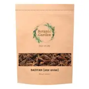 Botanic Garden Raw Badiyan Or Foeniculum vulgare 100% Pure Organic Herb