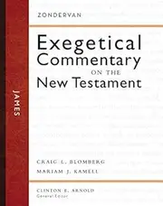 By Craig L Blomberg ; Mariam J Kamell ; Clinton E Arnold ( Author ) [ James Zondervan Exegetical Commentary on New Testament By Nov-2008 Hardcover