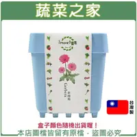 在飛比找momo購物網優惠-【蔬菜之家】iPlant小農場系列-非洲菊