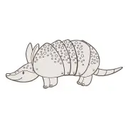 Color Your Own Movable Western Armadillos, Craft Kits, 12 Pieces