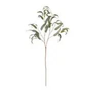 [Sleeping Giant] Gum Leaf Spray Green - 90cm