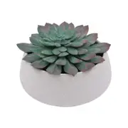 UN-REAL 12cm Artificial D/Rose Succulent In Sandy Pot