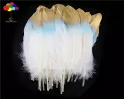 pretty Premium 10-100PCS Light blue Pheasant Tail Feathers 20-25cm/8-10 inch