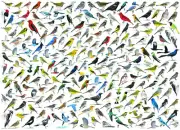 Eurographics The World of Birds 2000 Piece Jigsaw Puzzle