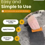 Pet Hair Remover - Easy Grip Pet Hair Carpet Scraper, Pet Hair Removal Tool #C
