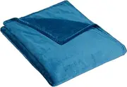 Amazon Basics Velvet Plush Blanket, King, Teal