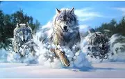 DIY 5D Diamond Painting by Number Kit, Hunting Snow Wolf Full Diamond Rhinestone Embroidery Cross Stitch Arts Craft for Canvas Wall Decor 11.81x15.75"