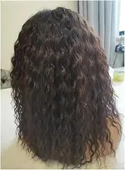 16 Inches Curly Lace Front Wig Synthetic Wavy Curly Wigs for Women Daily Party Wear (Brown)