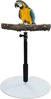 ToHLo Parrot Stand Perch,37" Adjustable Height Parrot Training Perch Stand,Portable Tabletop Bird Perch Spin Training Perch,Natural Wooden Bird Perch Stand with 13" Round Chassis for Birds,Parrots (A)