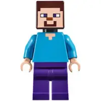 在飛比找蝦皮購物優惠-樂高 聯名 當個創世神 Minecraft 人偶 史帝夫 主