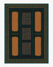 275' x 365' | Machine Washable Runner Rug | Kid & Pet Friendly | Indoor Rug | Architectural Digest Nerissa Teal & Gold Tufted Rug | Ruggable