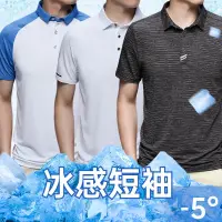 在飛比找蝦皮商城精選優惠-台灣出貨 夏季冰絲涼感衣 運動POLO衫 翻領短袖男 排汗吸