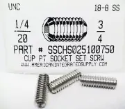 1/4-20x3/4 Hex Socket Set Screws Cup Point Stainless Steel (20)