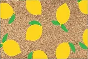 Summer Door Mat, Summer Porch Decor, Summer Doormat, Outside Decor for Porch, Entry Mats Indoor Home, Summer Indoor Outdoor Welcome Mat, Summer Doormat Welcome Floor Mat for Home (E)