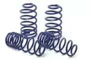 H&R Race Springs for 00-05 Ford Focus/Focus SVT DAW (Non Wagon) (for: Ford)