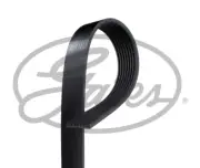 Multi-V-belt (8PK2280) fits: MAN TGS II, TGX I, TGX II; MERCEDES ATEGO, ATEGO