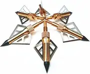 Fay Hunting Broadheads 100 Grain Arrow Head Points with 3 Razor Blades for Archery Compound Recurve Bow Bolts Arrows