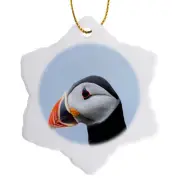 3dRose, Atlantic Puffin on cliff. Shetland Islands, Scotland., Ornament