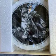 Royal Cornwall KITTENS WORLD 6 Plate Collection Excellent CONDITION In Box