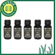 Edwards Essences Black Sambuca pack of 5