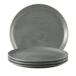 Seltmann Terra Dinner Plates, Set of 4