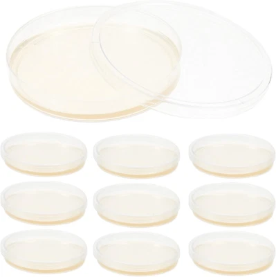 Agar Plates Petri Dishes: 10PCS Science Petri Dishes Petri Nutrient Plates, Prep