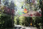 Childrens Treetops Ropes Course - Wyong Creek