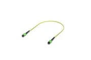 Ubiquiti OS2 MPO-12 APC Fiber Patch Cable, 0.5 m, Single-pack, Indoor OS2 Single-mode,MPO-12 Type B APC Connectors, For 100G Applications UACC-OFC-SA-MPMP-0.5M
