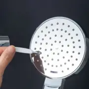 10pcs/set Shower Head Small Brush Teapot Nozzle Kettle Spout Brush Micro Brus CR