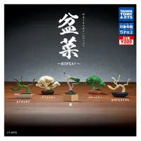 在飛比找PChome24h購物優惠-全套5款【日本正版】盆菜 扭蛋 轉蛋 植物 蔬菜 青菜 迷你