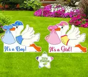 Its Twins Yard Stork Signs Decoration Kit, New Baby Boy and Girl Announcement