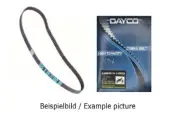 Gilera Nordwest Nordcape RC 350 600 Top Rally motor timing belt