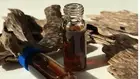 Agarwood Oil, Oud, Oudh, Aquilaria crassna, Agilawood, Eaglewood, Perfume, Aroma