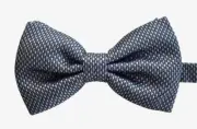 ️NEW BRIONI Light Pink/Gray-Blue 100% SILK Jacquard Men's Pre-Tied BOW TIE