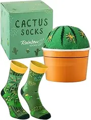 [Rainbow Socks] Cactus in a pot – green cactus socks for women and men