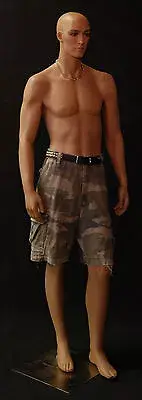 Brand New Male Fiber Glass Mannequin Manequin Manikin Dress Form Display #CCB13